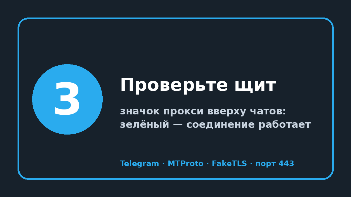 MTProto прокси (мтпрото прокси): шаг 3 — Проверьте щит